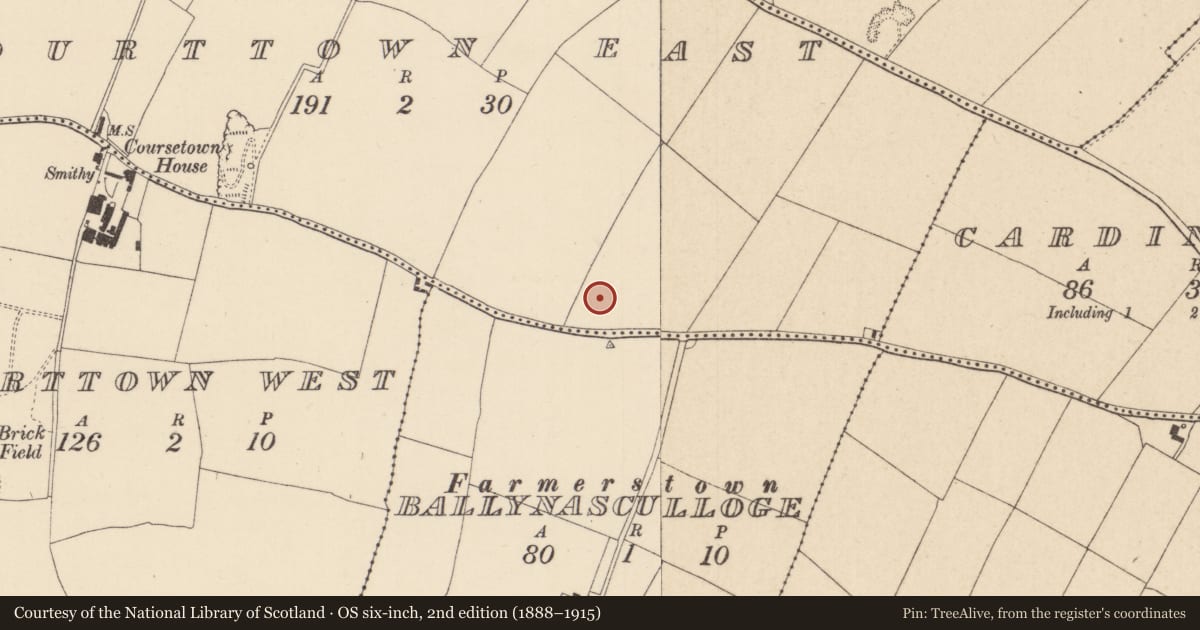 Ordnance Survey six-inch map, 2nd edition (1888–1915) covering the location of Enclosure, Courttown East, County Kildare, with a pin at the register's coordinates