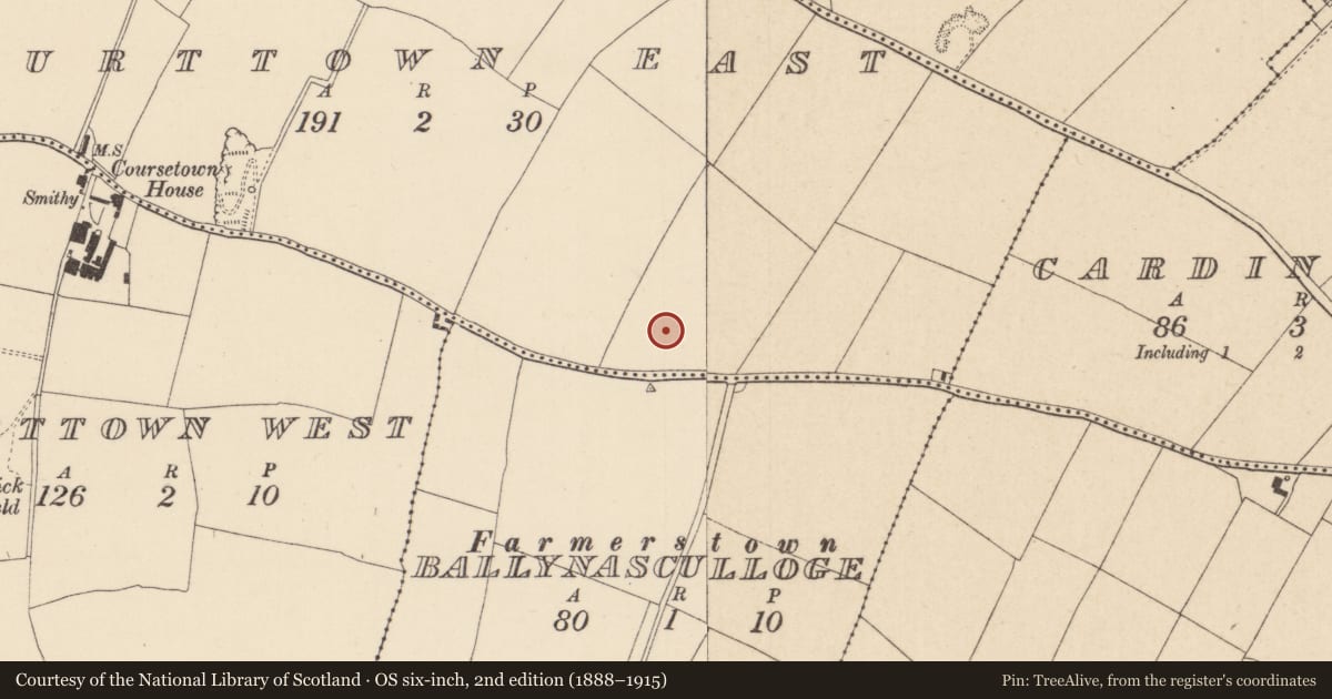 Ordnance Survey six-inch map, 2nd edition (1888–1915) covering the location of Field boundary, Courttown East, County Kildare, with a pin at the register's coordinates