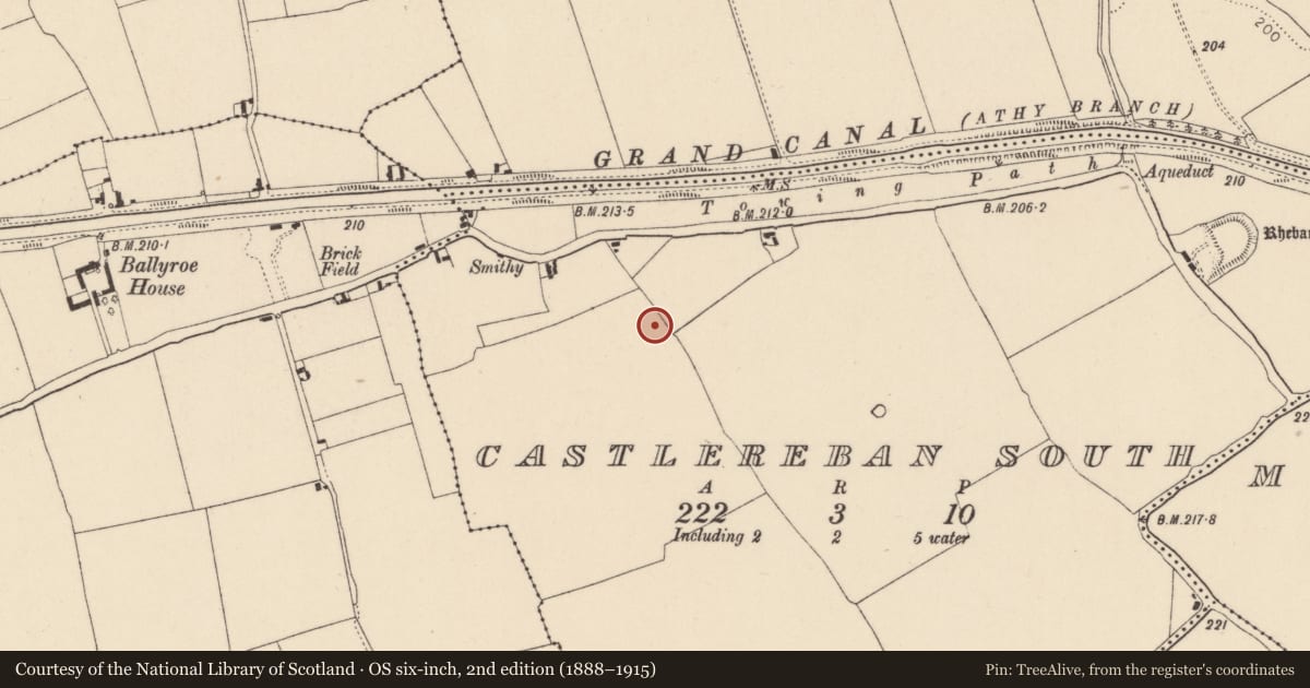 Ordnance Survey six-inch map, 2nd edition (1888–1915) covering the location of Enclosure, Castlereban South, County Kildare, with a pin at the register's coordinates