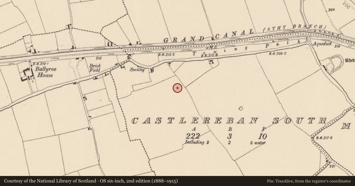 Ordnance Survey six-inch map, 2nd edition (1888–1915) covering the location of House - indeterminate date, Castlereban South, County Kildare, with a pin at the register's coordinates