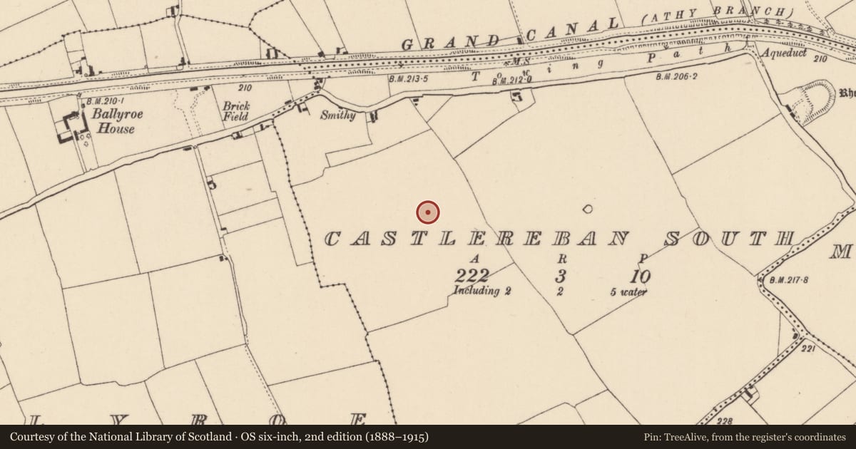 Ordnance Survey six-inch map, 2nd edition (1888–1915) covering the location of Enclosure, Castlereban South, County Kildare, with a pin at the register's coordinates