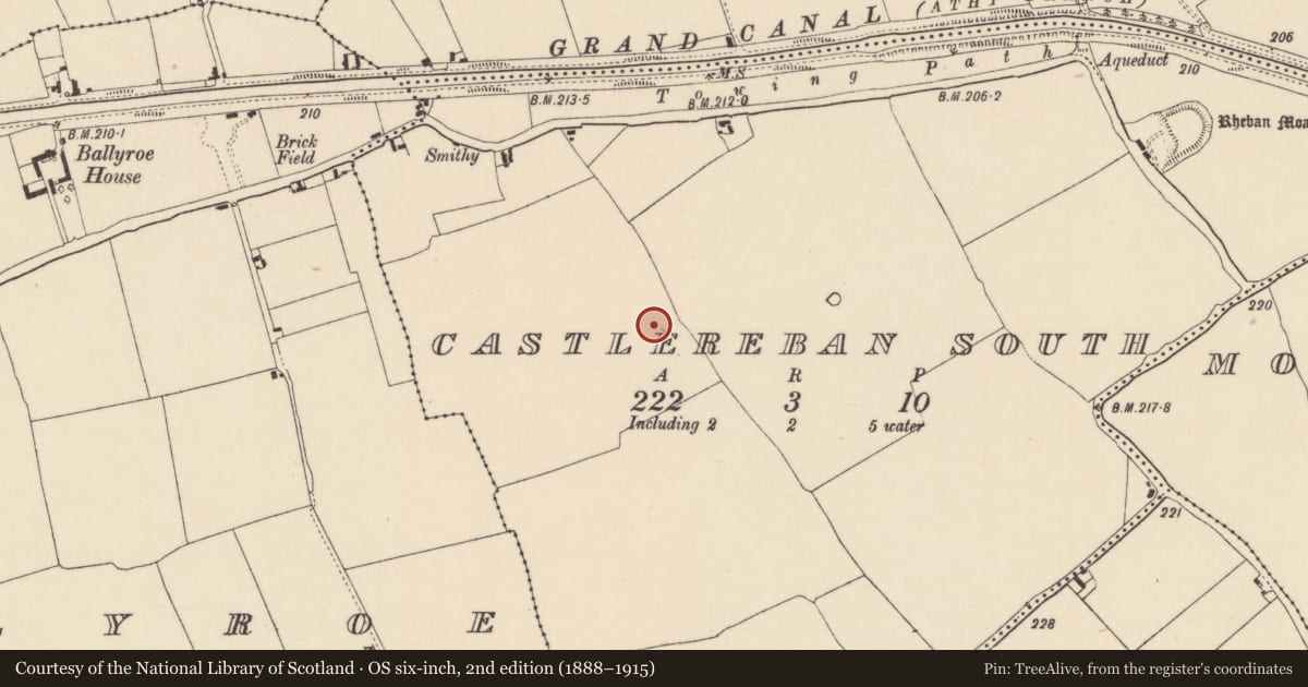 Ordnance Survey six-inch map, 2nd edition (1888–1915) covering the location of Enclosure, Castlereban South, County Kildare, with a pin at the register's coordinates