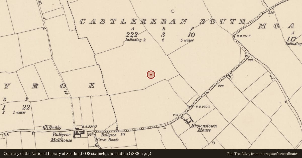 Ordnance Survey six-inch map, 2nd edition (1888–1915) covering the location of Enclosure, Castlereban South, County Kildare, with a pin at the register's coordinates