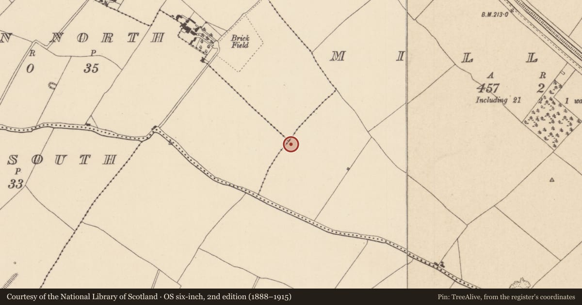 Ordnance Survey six-inch map, 2nd edition (1888–1915) covering the location of Ring-ditch, Milltown, County Kildare, with a pin at the register's coordinates