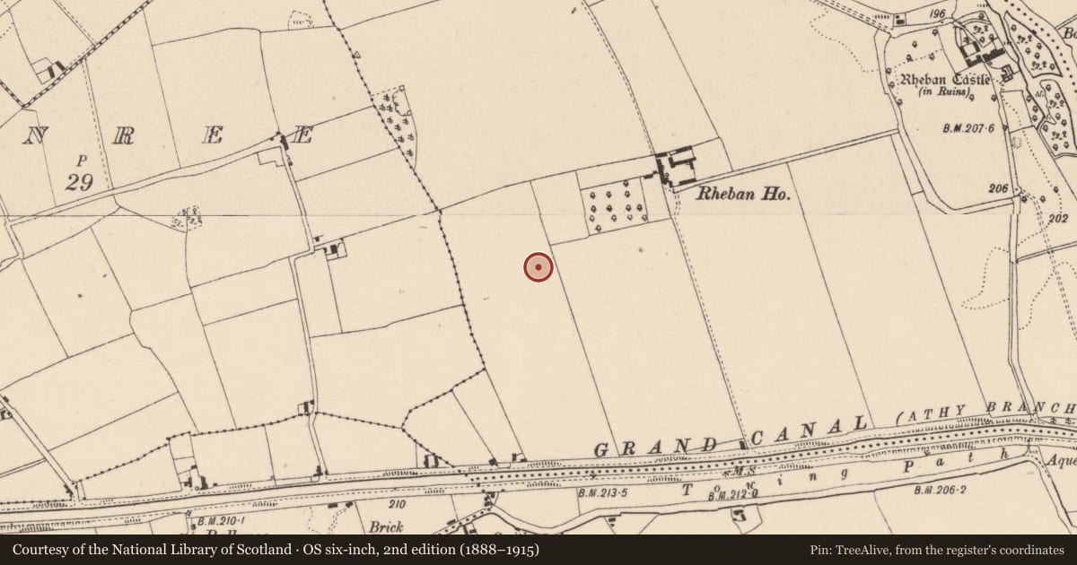 Ordnance Survey six-inch map, 2nd edition (1888–1915) covering the location of Enclosure, Castlereban North, County Kildare, with a pin at the register's coordinates