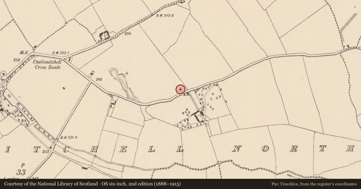 Ordnance Survey six-inch map, 2nd edition (1888–1915) covering the location of Ring-ditch, Castlemitchell North, County Kildare, with a pin at the register's coordinates