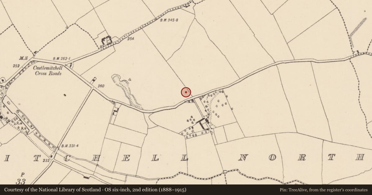 Ordnance Survey six-inch map, 2nd edition (1888–1915) covering the location of Ring-ditch, Castlemitchell North, County Kildare, with a pin at the register's coordinates