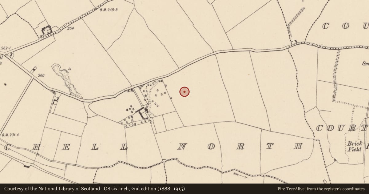 Ordnance Survey six-inch map, 2nd edition (1888–1915) covering the location of Enclosure, Castlemitchell North, County Kildare, with a pin at the register's coordinates