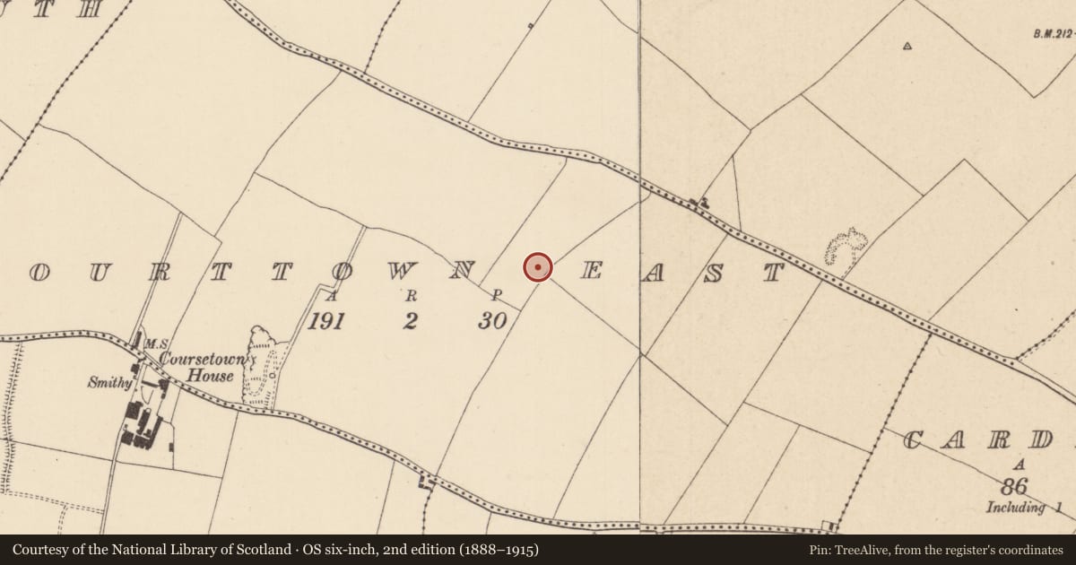 Ordnance Survey six-inch map, 2nd edition (1888–1915) covering the location of Ring-ditch, Courttown East, County Kildare, with a pin at the register's coordinates