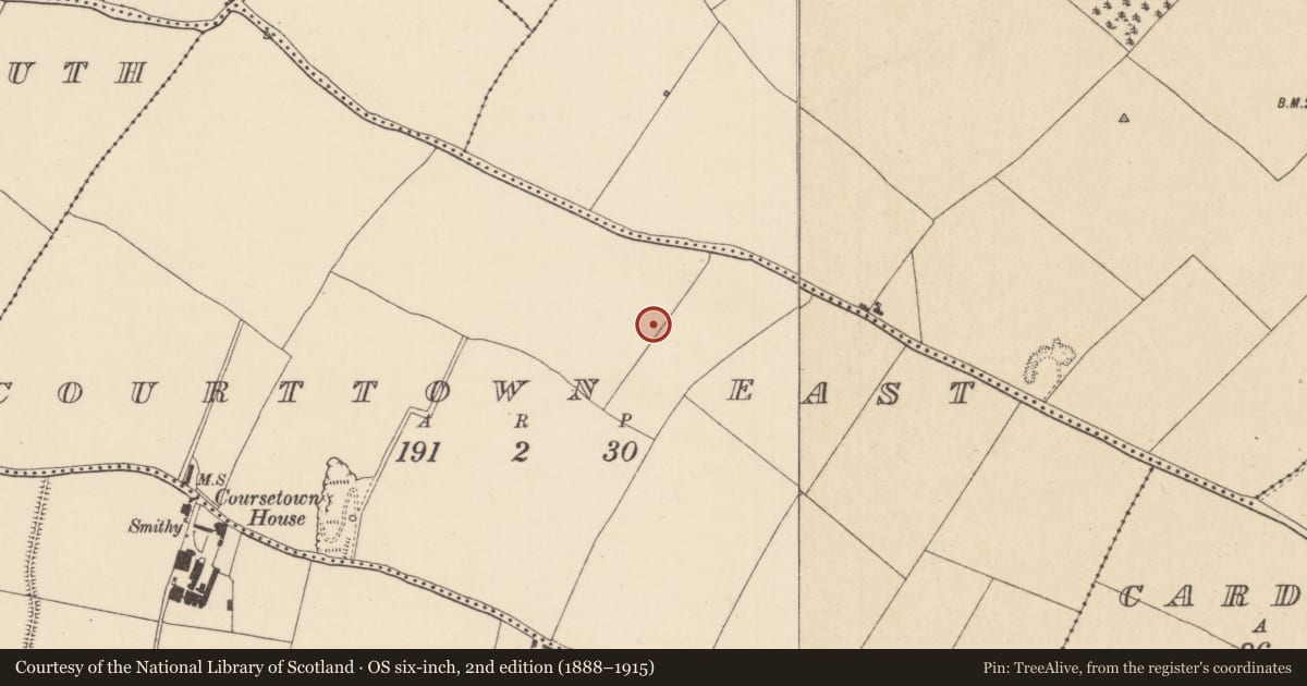 Ordnance Survey six-inch map, 2nd edition (1888–1915) covering the location of Ring-ditch, Courttown East, County Kildare, with a pin at the register's coordinates