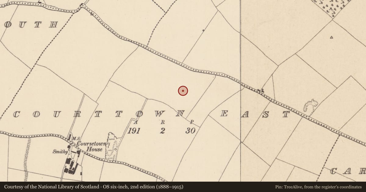 Ordnance Survey six-inch map, 2nd edition (1888–1915) covering the location of Ring-ditch, Courttown East, County Kildare, with a pin at the register's coordinates