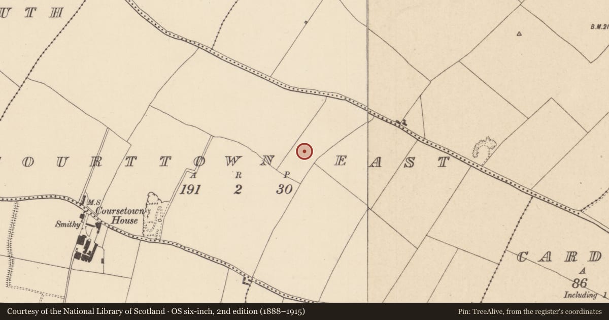 Ordnance Survey six-inch map, 2nd edition (1888–1915) covering the location of Ring-ditch, Courttown East, County Kildare, with a pin at the register's coordinates
