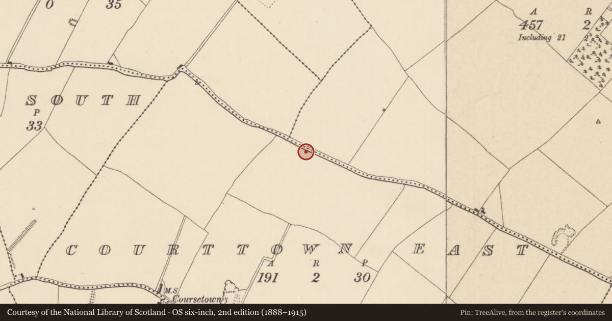 Ordnance Survey six-inch map, 2nd edition (1888–1915) covering the location of Enclosure, Courttown East, County Kildare, with a pin at the register's coordinates