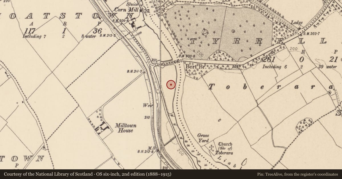Ordnance Survey six-inch map, 2nd edition (1888–1915) covering the location of Enclosure, Milltown, County Kildare, with a pin at the register's coordinates