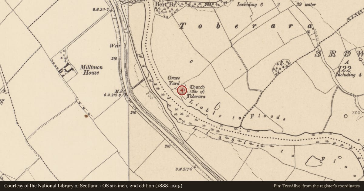 Ordnance Survey six-inch map, 2nd edition (1888–1915) covering the location of Graveyard, Tyrrellstown, County Kildare, with a pin at the register's coordinates
