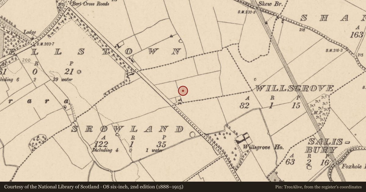 Ordnance Survey six-inch map, 2nd edition (1888–1915) covering the location of Ringfort - rath, Srowland, County Kildare, with a pin at the register's coordinates