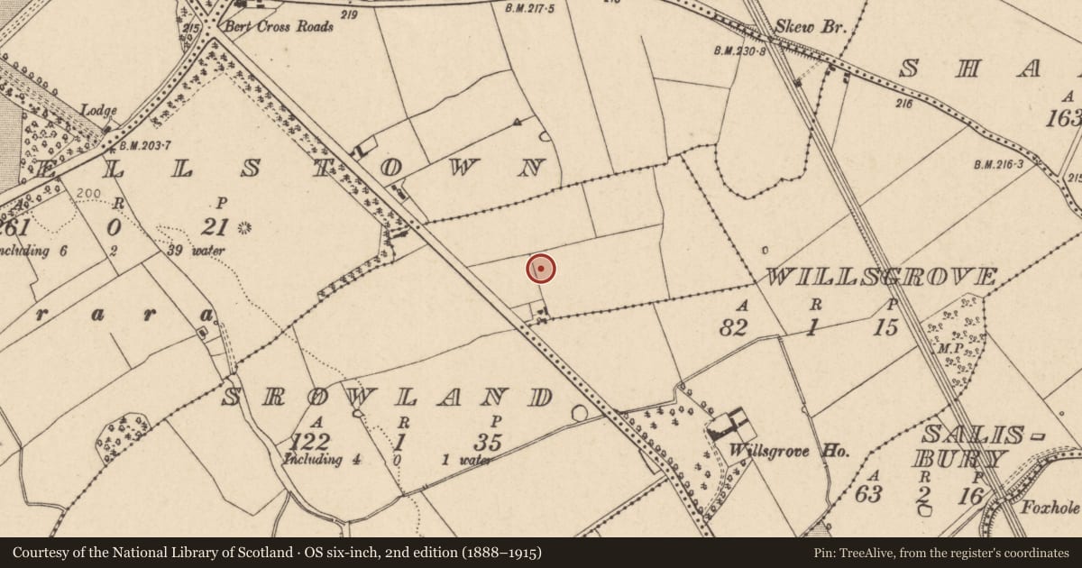 Ordnance Survey six-inch map, 2nd edition (1888–1915) covering the location of Field boundary, Srowland, County Kildare, with a pin at the register's coordinates