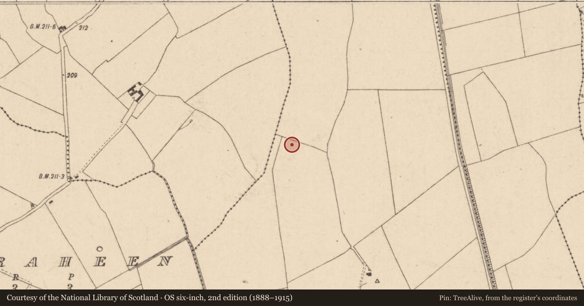 Ordnance Survey six-inch map, 2nd edition (1888–1915) covering the location of Moated site, Clogorrow, County Kildare, with a pin at the register's coordinates