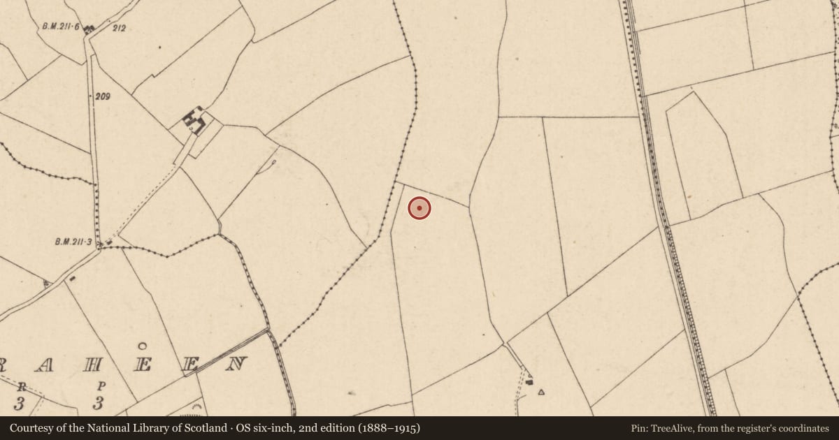 Ordnance Survey six-inch map, 2nd edition (1888–1915) covering the location of Souterrain, Clogorrow, County Kildare, with a pin at the register's coordinates