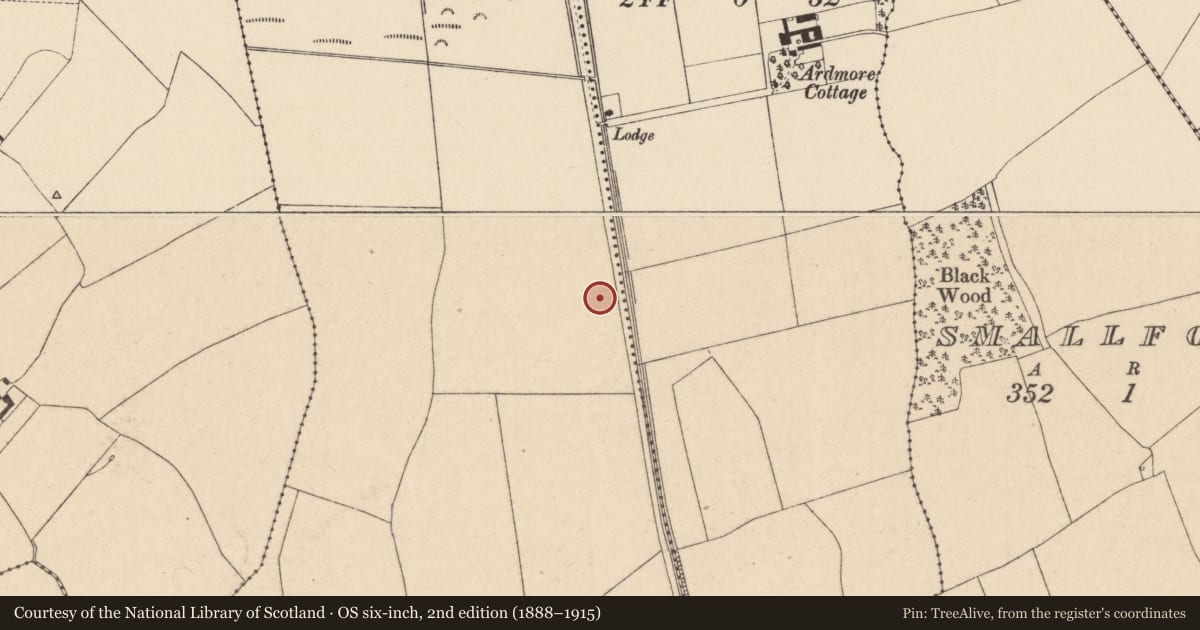 Ordnance Survey six-inch map, 2nd edition (1888–1915) covering the location of Enclosure, Clogorrow, County Kildare, with a pin at the register's coordinates