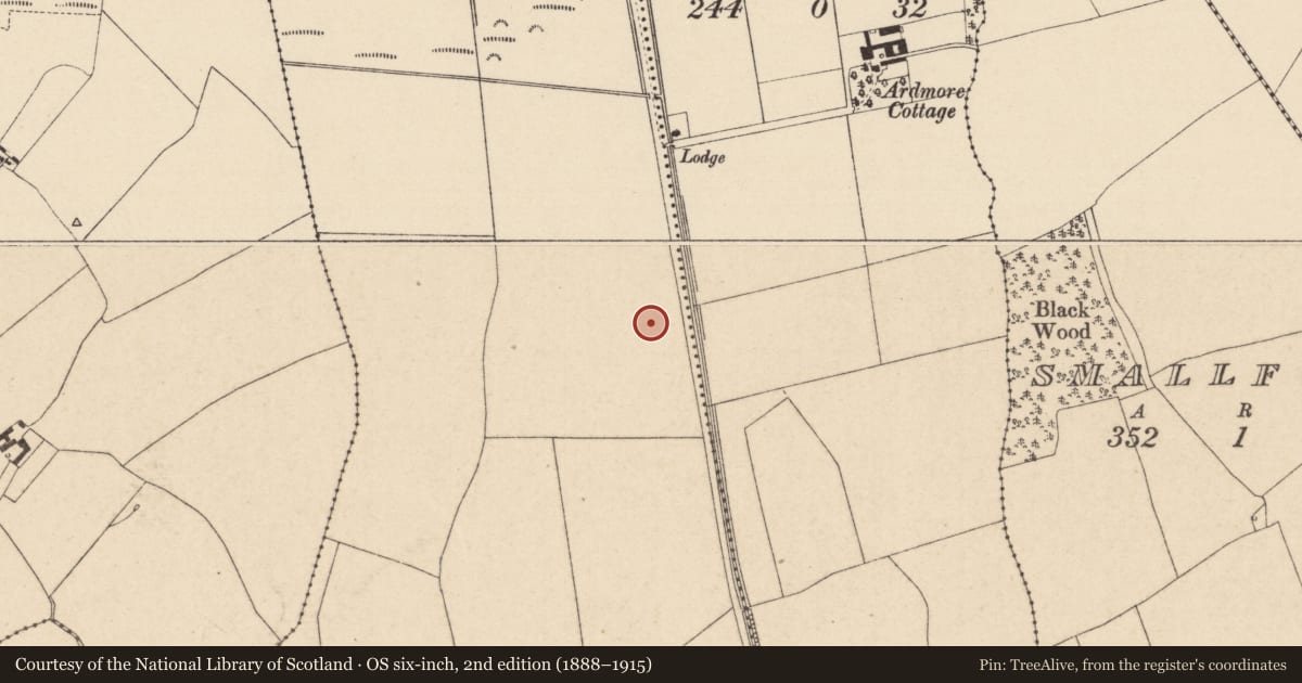 Ordnance Survey six-inch map, 2nd edition (1888–1915) covering the location of Enclosure, Clogorrow, County Kildare, with a pin at the register's coordinates