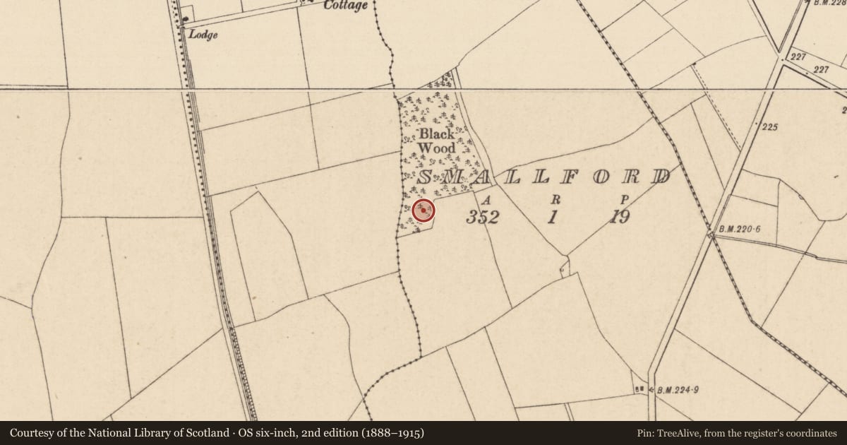 Ordnance Survey six-inch map, 2nd edition (1888–1915) covering the location of Moated site, Smallford, County Kildare, with a pin at the register's coordinates