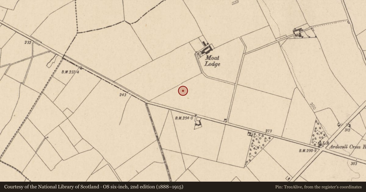 Ordnance Survey six-inch map, 2nd edition (1888–1915) covering the location of Enclosure, Ardscull, County Kildare, with a pin at the register's coordinates
