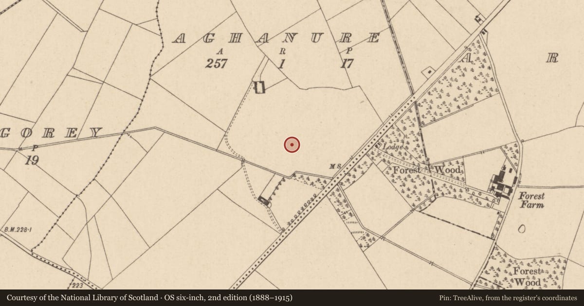 Ordnance Survey six-inch map, 2nd edition (1888–1915) covering the location of Enclosure, Aghanure, County Kildare, with a pin at the register's coordinates