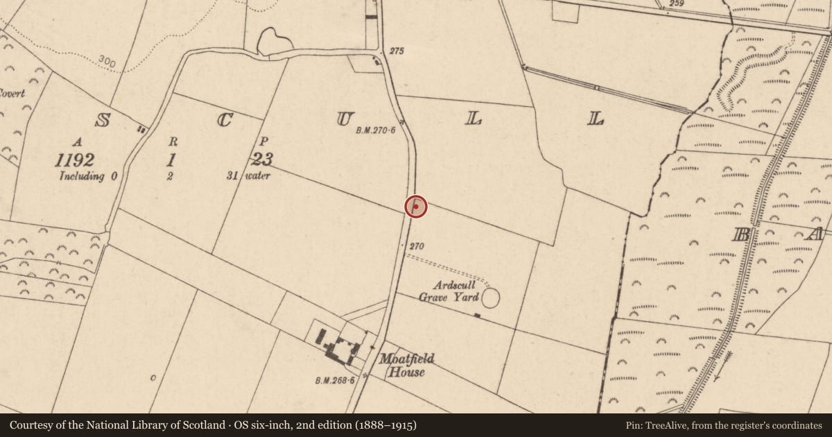 Ordnance Survey six-inch map, 2nd edition (1888–1915) covering the location of Children's burial ground, Ardscull, County Kildare, with a pin at the register's coordinates