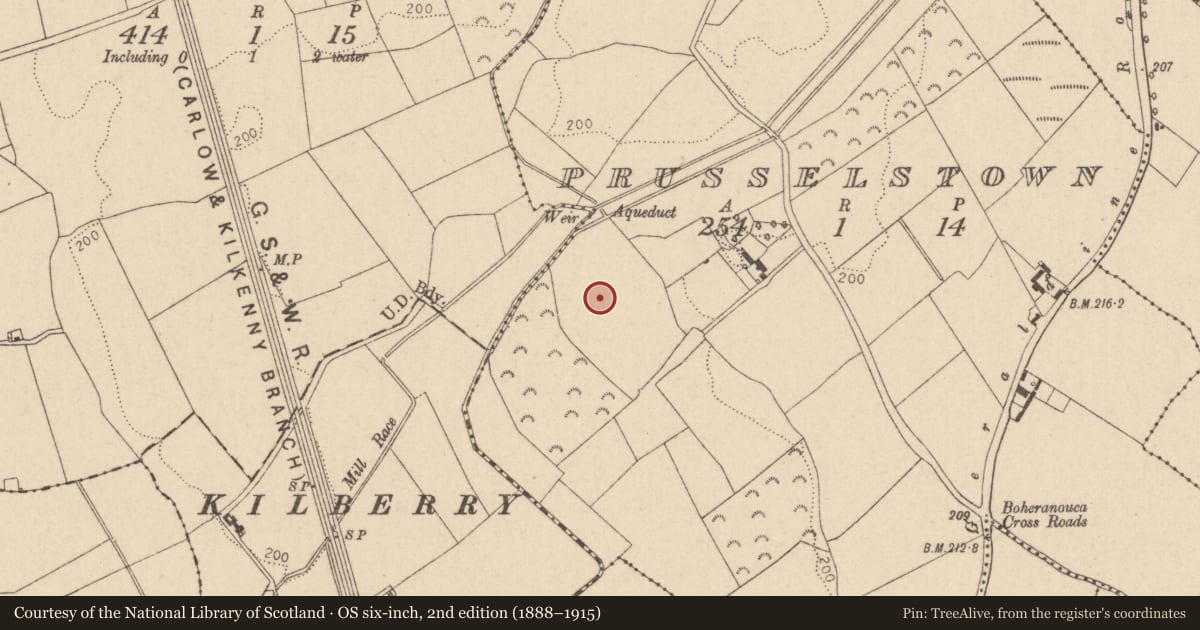 Ordnance Survey six-inch map, 2nd edition (1888–1915) covering the location of Enclosure, Prusselstown, County Kildare, with a pin at the register's coordinates