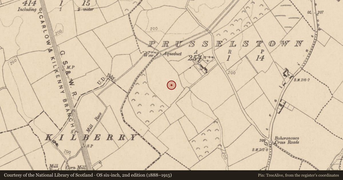 Ordnance Survey six-inch map, 2nd edition (1888–1915) covering the location of Field system, Prusselstown, County Kildare, with a pin at the register's coordinates