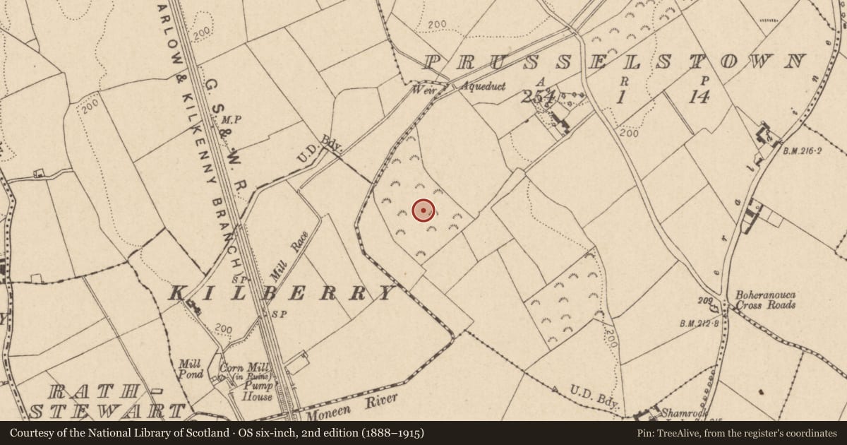 Ordnance Survey six-inch map, 2nd edition (1888–1915) covering the location of Enclosure, Prusselstown, County Kildare, with a pin at the register's coordinates