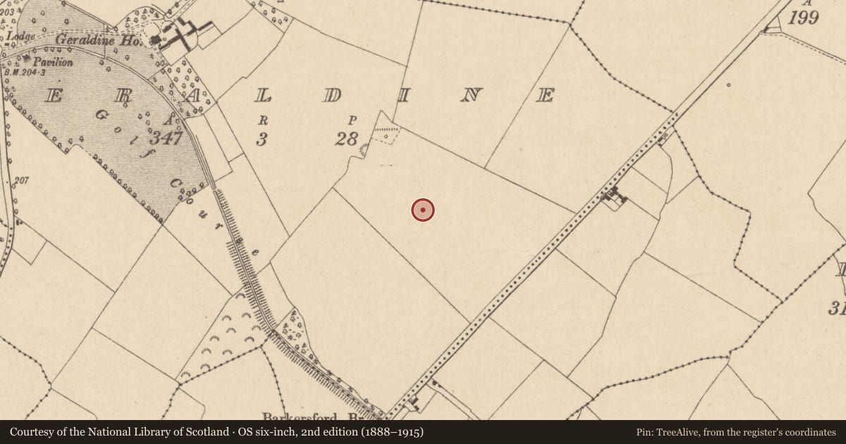 Ordnance Survey six-inch map, 2nd edition (1888–1915) covering the location of Ringfort - rath, Geraldine, County Kildare, with a pin at the register's coordinates