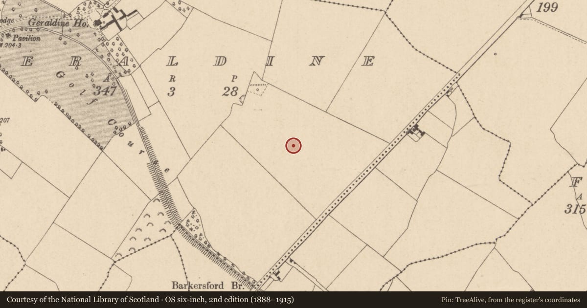 Ordnance Survey six-inch map, 2nd edition (1888–1915) covering the location of Field boundary, Geraldine, County Kildare, with a pin at the register's coordinates