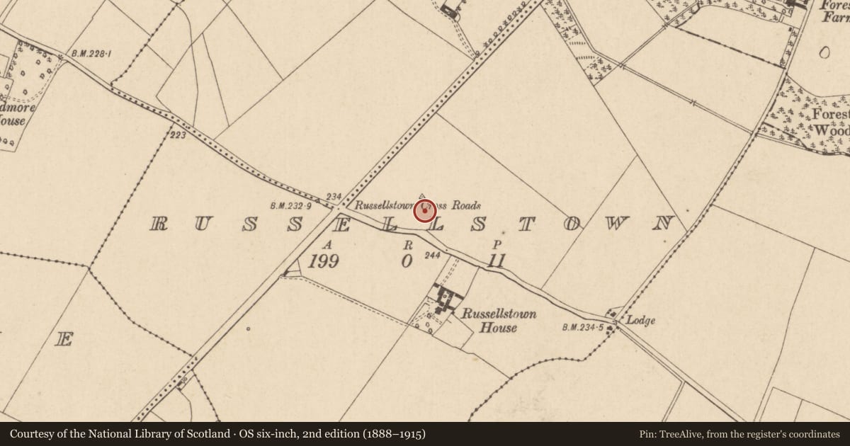 Ordnance Survey six-inch map, 2nd edition (1888–1915) covering the location of Ringfort - rath, Russellstown, County Kildare, with a pin at the register's coordinates