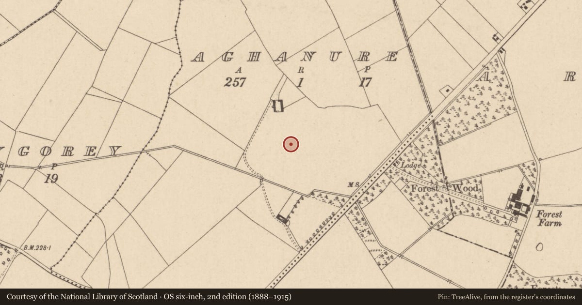 Ordnance Survey six-inch map, 2nd edition (1888–1915) covering the location of Enclosure, Aghanure, County Kildare, with a pin at the register's coordinates