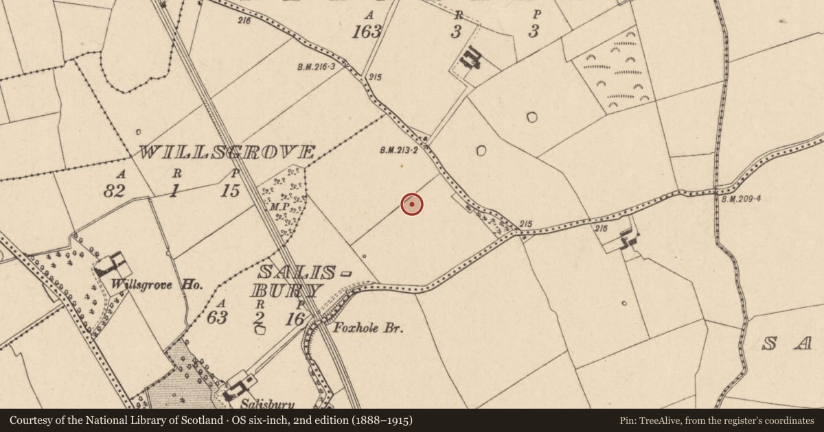 Ordnance Survey six-inch map, 2nd edition (1888–1915) covering the location of Mound, Salisbury, County Kildare, with a pin at the register's coordinates