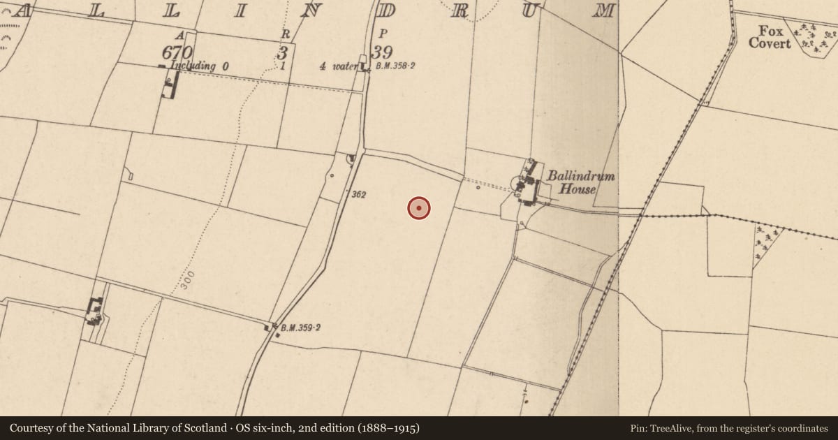 Ordnance Survey six-inch map, 2nd edition (1888–1915) covering the location of Enclosure, Ballindrum, County Kildare, with a pin at the register's coordinates
