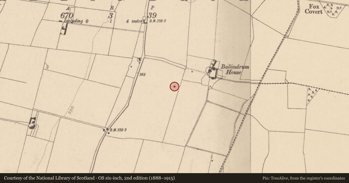 Ordnance Survey six-inch map, 2nd edition (1888–1915) covering the location of Enclosure, Ballindrum, County Kildare, with a pin at the register's coordinates
