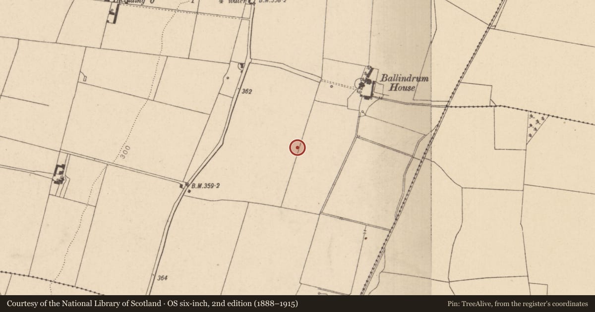 Ordnance Survey six-inch map, 2nd edition (1888–1915) covering the location of Enclosure, Ballindrum, County Kildare, with a pin at the register's coordinates