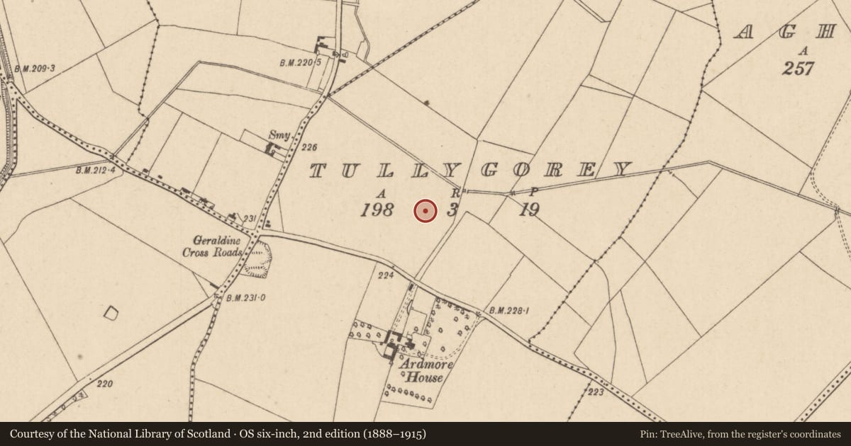 Ordnance Survey six-inch map, 2nd edition (1888–1915) covering the location of Enclosure, Tullygorey, County Kildare, with a pin at the register's coordinates