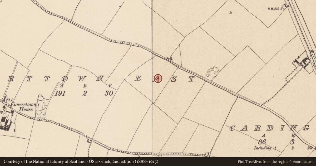 Ordnance Survey six-inch map, 2nd edition (1888–1915) covering the location of Ring-ditch, Courttown East, County Kildare, with a pin at the register's coordinates