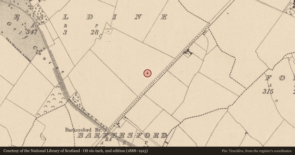 Ordnance Survey six-inch map, 2nd edition (1888–1915) covering the location of Ring-ditch, Bray Upper, County Kildare, with a pin at the register's coordinates