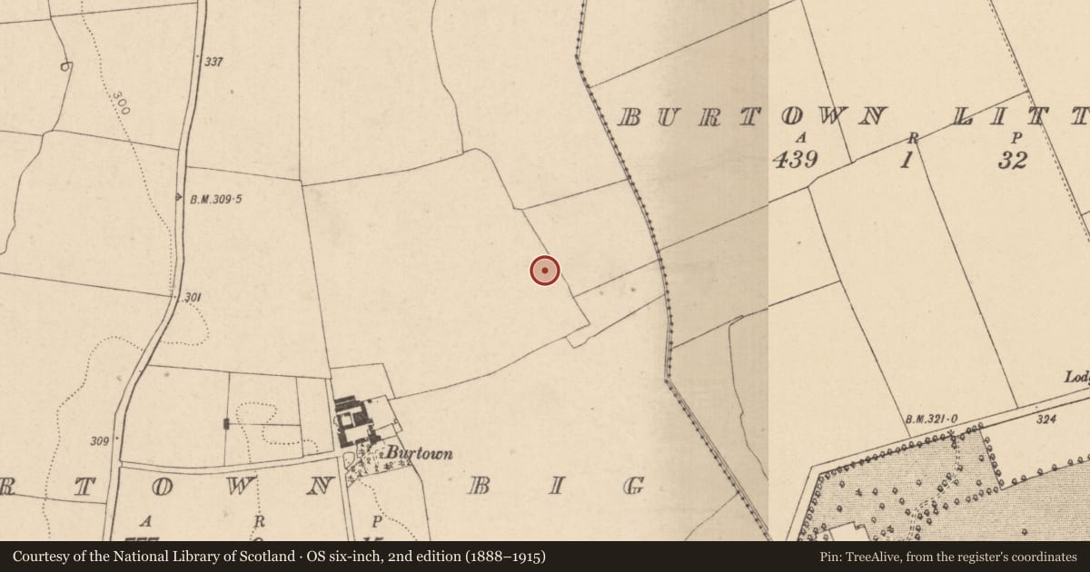 Ordnance Survey six-inch map, 2nd edition (1888–1915) covering the location of Enclosure, Burtown Big, County Kildare, with a pin at the register's coordinates