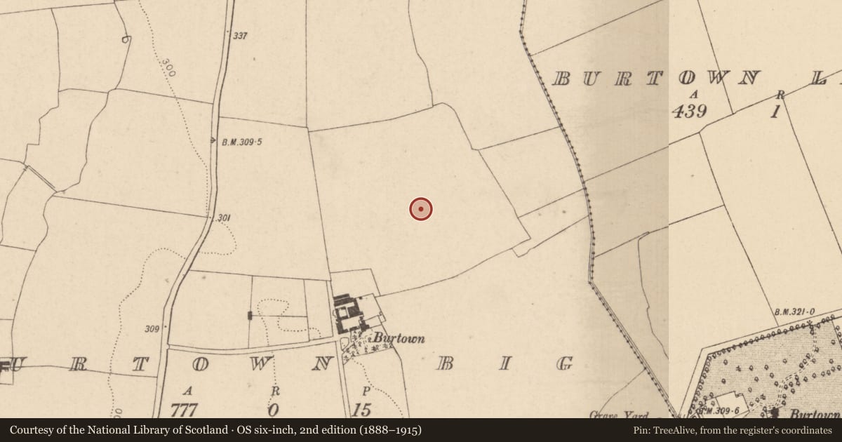 Ordnance Survey six-inch map, 2nd edition (1888–1915) covering the location of Field system, Burtown Big, County Kildare, with a pin at the register's coordinates
