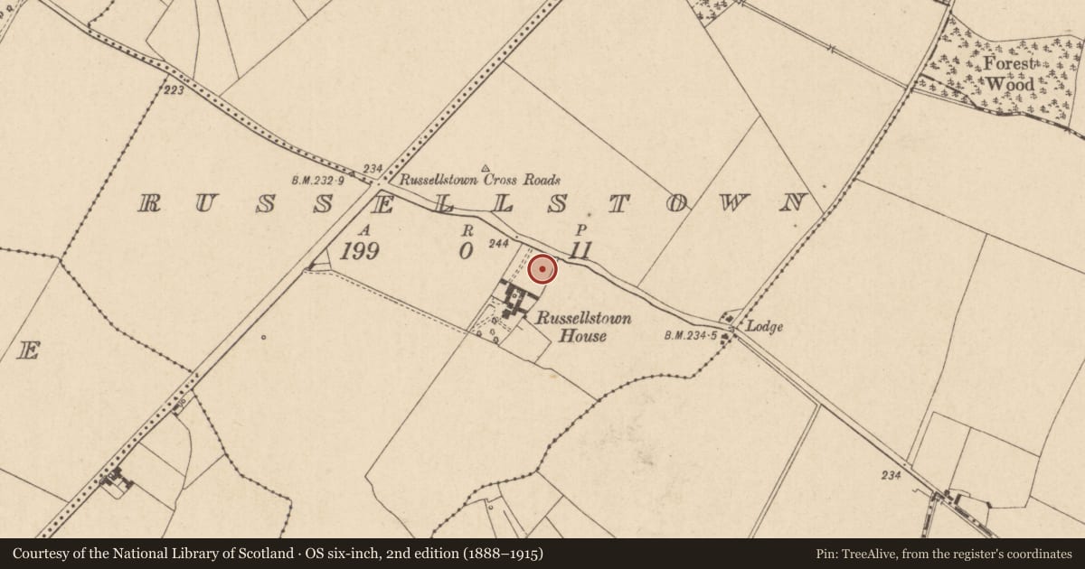 Ordnance Survey six-inch map, 2nd edition (1888–1915) covering the location of Architectural fragment, Russellstown, County Kildare, with a pin at the register's coordinates
