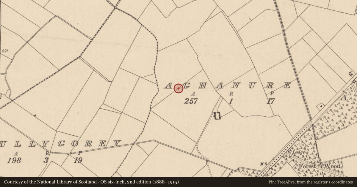 Ordnance Survey six-inch map, 2nd edition (1888–1915) covering the location of Enclosure, Aghanure, County Kildare, with a pin at the register's coordinates