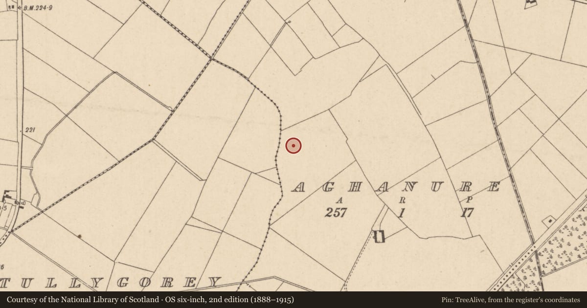 Ordnance Survey six-inch map, 2nd edition (1888–1915) covering the location of Enclosure, Aghanure, County Kildare, with a pin at the register's coordinates