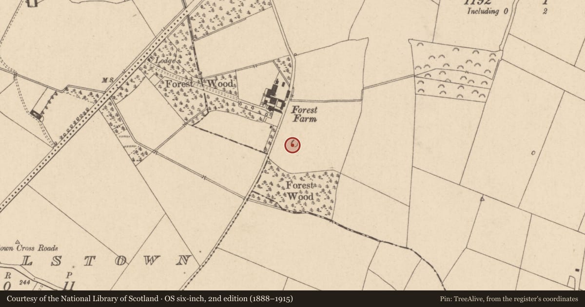 Ordnance Survey six-inch map, 2nd edition (1888–1915) covering the location of Enclosure, Ardscull, County Kildare, with a pin at the register's coordinates