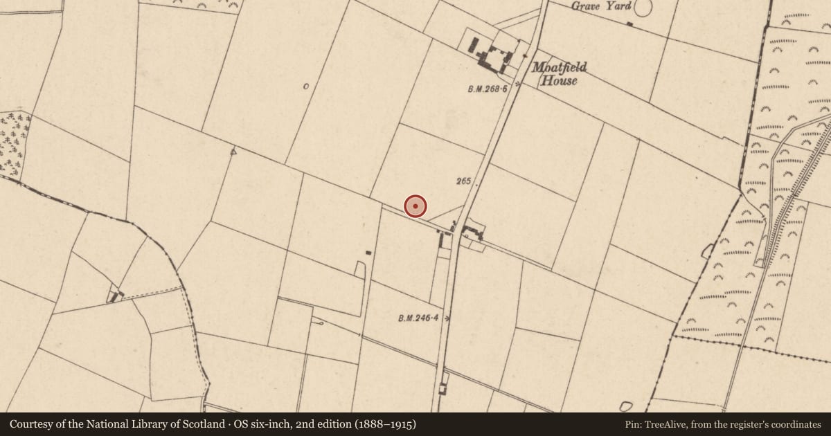 Ordnance Survey six-inch map, 2nd edition (1888–1915) covering the location of Enclosure, Ardscull, County Kildare, with a pin at the register's coordinates